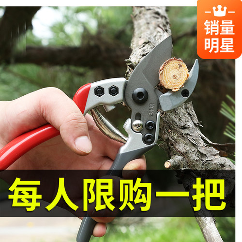 园艺剪刀花剪果树树枝修枝剪花枝果枝剪花艺剪子枝条修枝神器家用