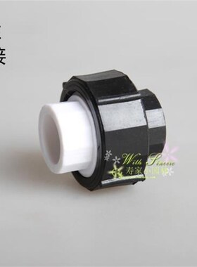 PE管材管件PPR转PE全塑活接头4分6分水管转换接头水暖配件自来水