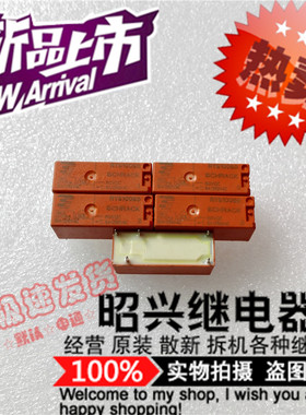 特价促销RY610060 全新RY610060-60VDC 进口泰科继电器 8A/250VAC