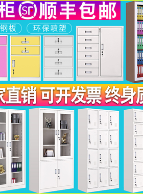 铁皮文件柜矮柜书柜资料柜带锁凭证档案钢制彩色办公室员工更衣柜
