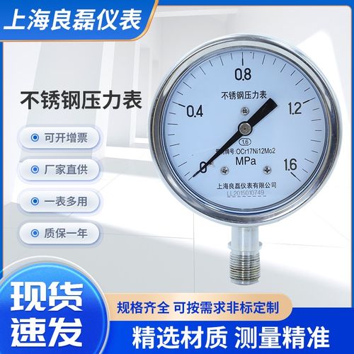 Y100BF YN100BF不锈钢耐震压力表耐腐蚀管道油压水压液压负压表