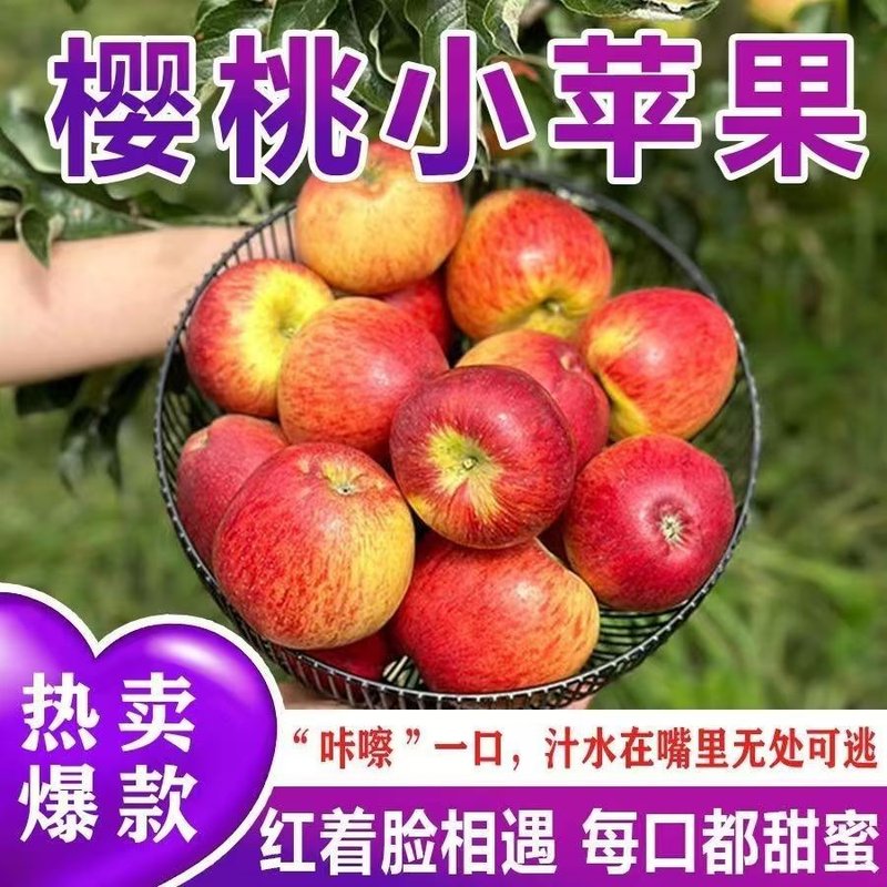 26年（樱桃小苹果）云南高原樱桃小苹果冰糖心甜脆爽口新鲜应季水