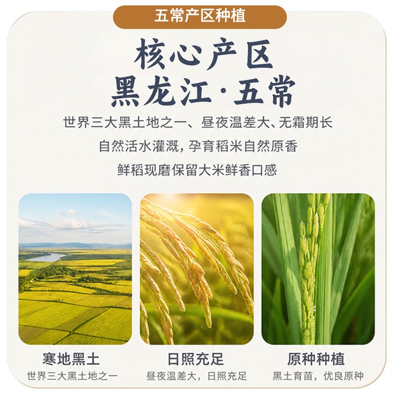 荃芳味 黑土地种植东北五常大米5斤 当季新米软糯香甜地标品质