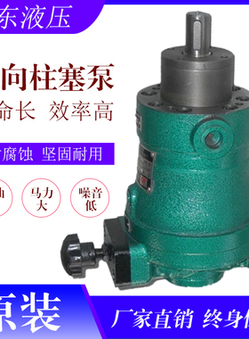 10SCY 25SCY 40SCY 63SCY 80SCY 160SCY 250SCY14-1B轴向柱塞泵
