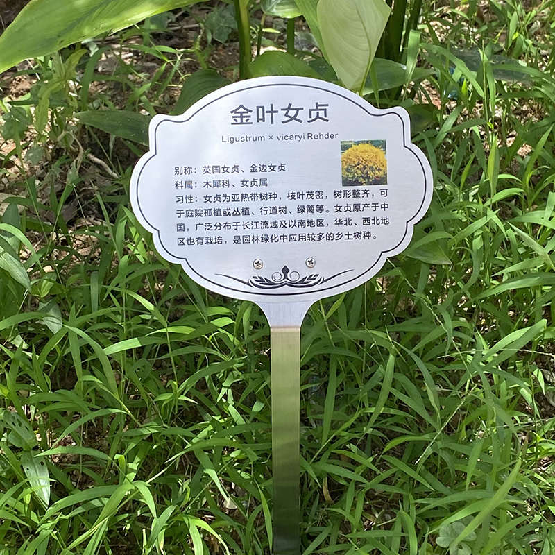 二维码树木广告牌展示不锈钢花草牌地牌介绍金属园艺定制插植物牌