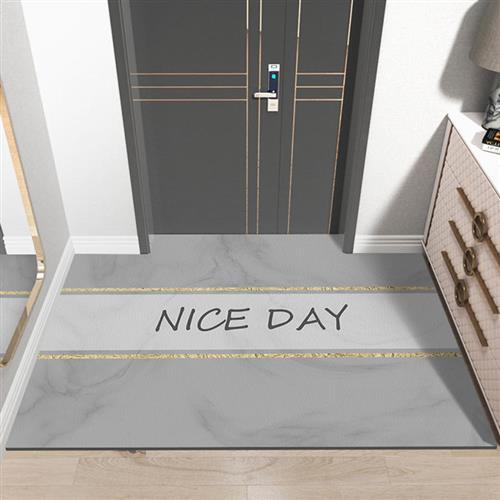 入户门地垫进门玄关门口地毯y皮革门垫防滑吸水脚垫脚踏垫子可