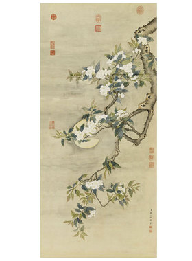 清邹一桂梨花夜月图卷轴画t中式装饰画花鸟画客厅沙发玄关茶楼挂