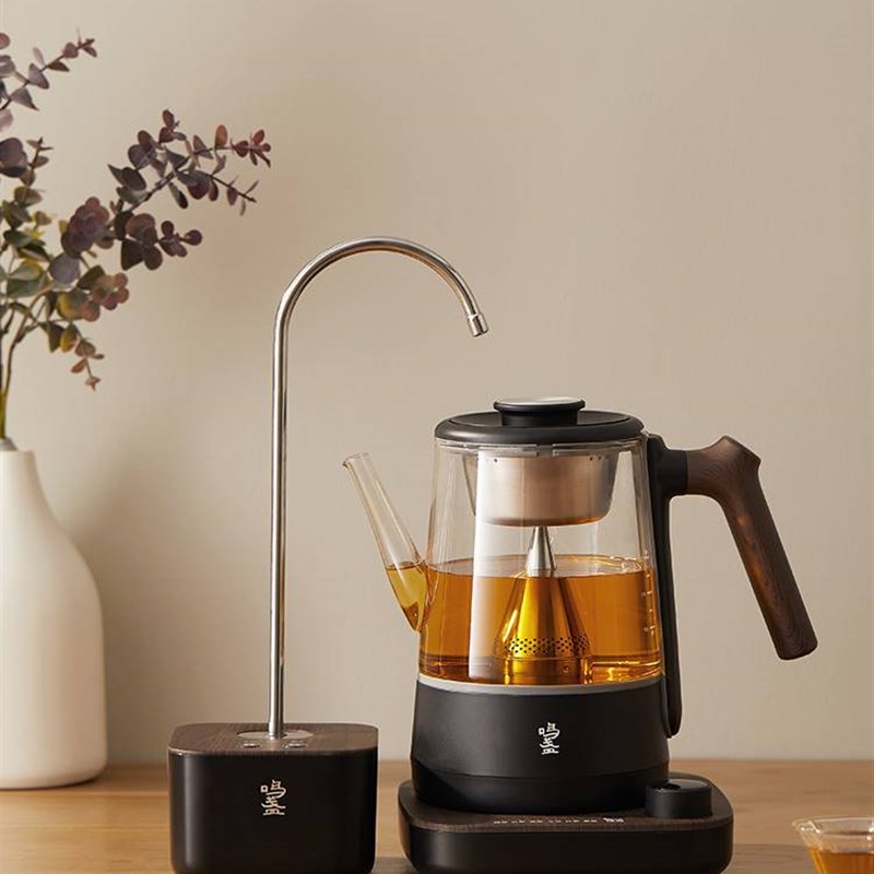 自动抽水器电动桶装水上水器家用矿泉水取水器纯净水吸水器压水器