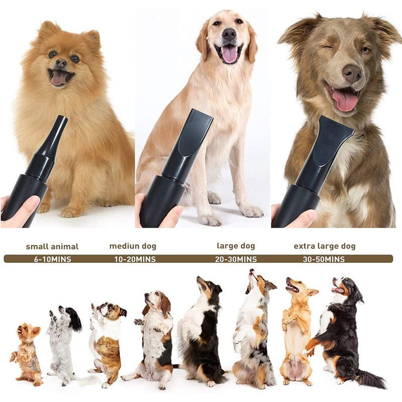宠物吹风机可调速调风宠物吹水机狗狗吹毛烘干机狗狗洗澡吹水机