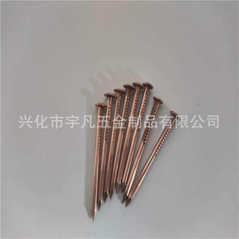 铜钉 紫铜洋钉 铜圆钉 蘑菇头 平头 非标定制 纯铜非标钉