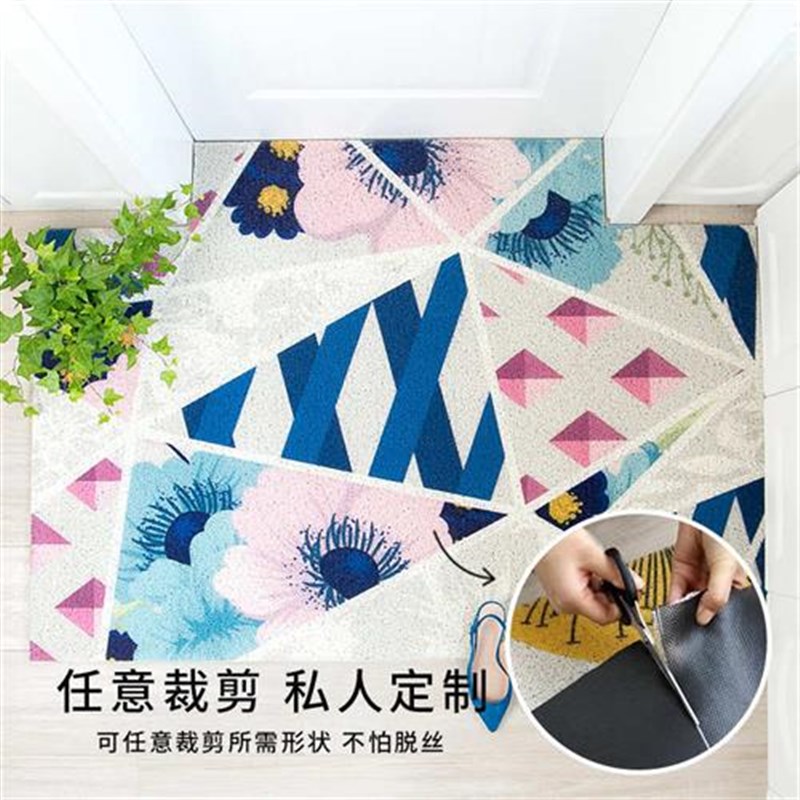 门口地垫进门塑料丝圈防尘入户门垫家用可裁剪丝圈地毯防滑定制