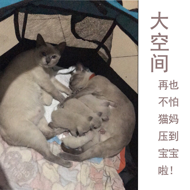宠物猫咪产房怀孕猫产q房产箱折叠户外帐篷狗狗封闭式窝猫生产用