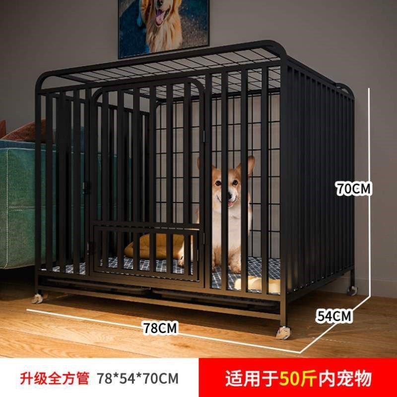 柯基拉布拉多金毛带室内笼子家用狗厕所狗大型犬宠物狗围栏中分离