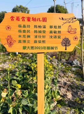 定制菜地花草幼儿园菜园种植花园装饰插地L木质提示标识牌木牌户