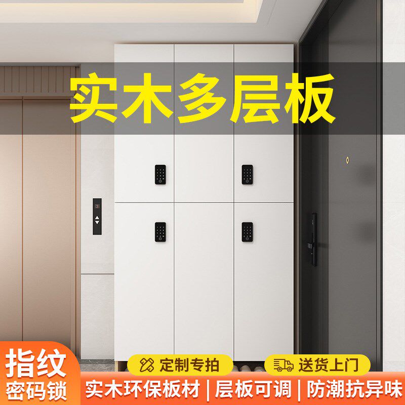 收纳储物柜收纳柜置物柜家用实木多层大容量指纹密码锁鞋柜整理柜
