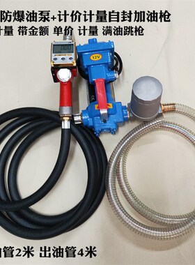 12V24V220V手提式防爆加油泵汽油加油机计价计量油枪管组合抽油泵