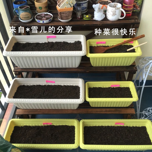 爱丽丝花盆长方形阳台种菜盆树脂塑料种植花槽爱丽思花盆种菜神器