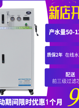陶之源100f升去离子水设备实验室超纯水机工业去离子水机超纯水仪