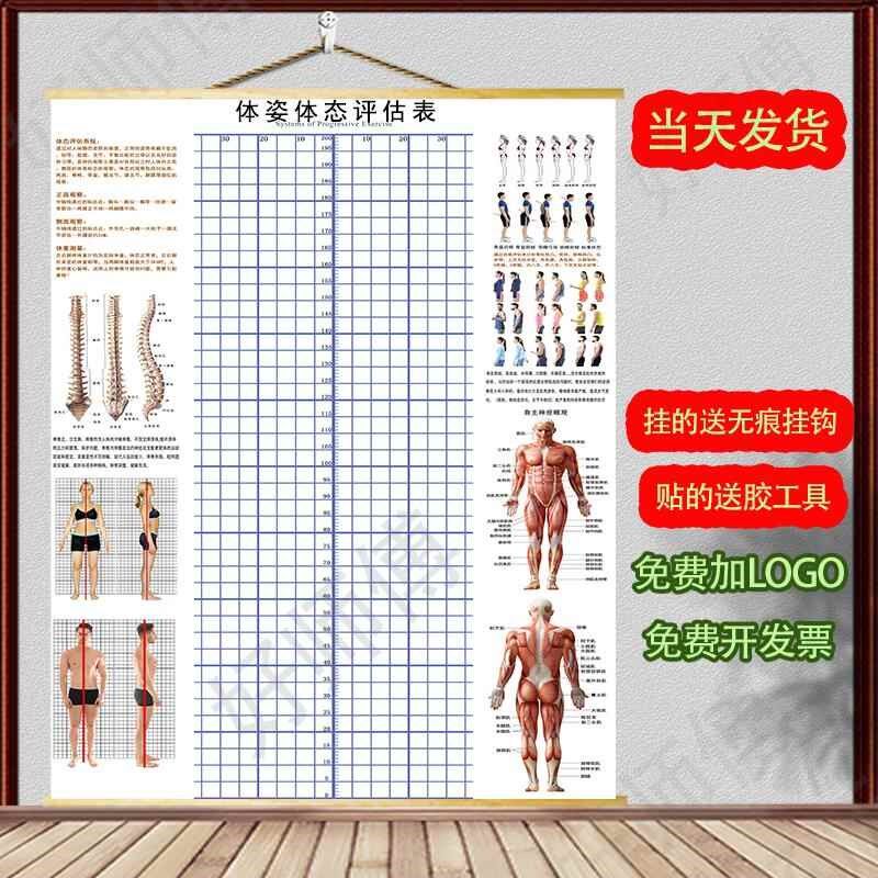 体态评估表挂式贴式体测健身房瑜伽馆H私教身高臂展网格身体对比