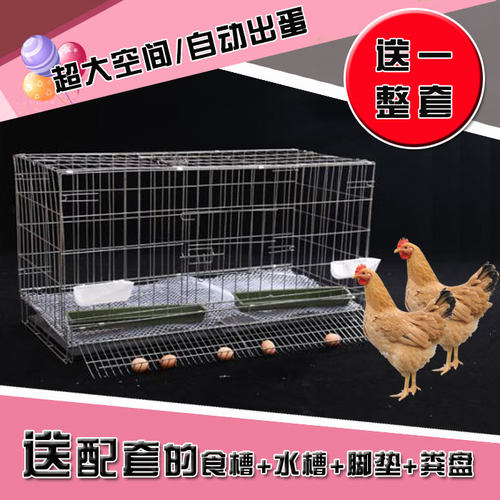 家用自动滚蛋特大号鸡笼鸡舍鸡笼子养殖笼运输加粗鸭笼鹅笼兔笼