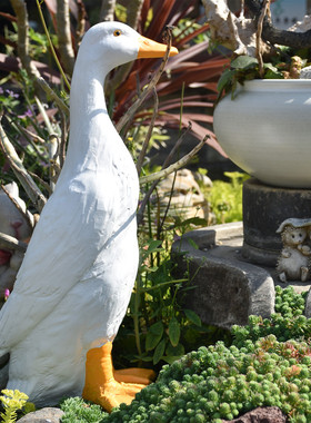 顶楼阳台造景布置户外庭院微景观田园大动物N花园装饰可爱鸭子摆