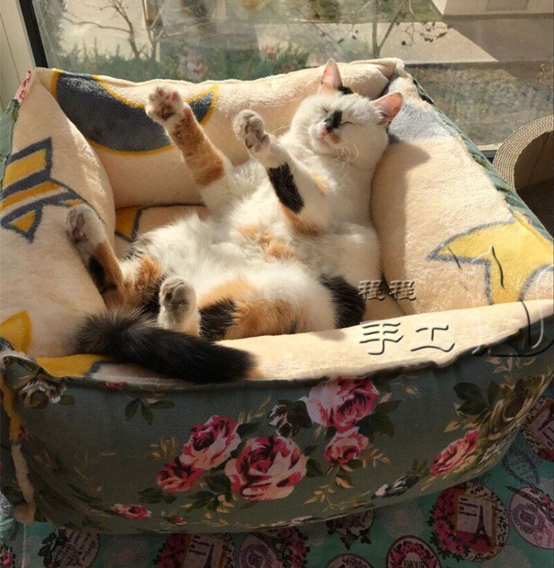 手工大号猫窝可拆洗深度睡眠猫屋狗窝秋冬加厚猫睡袋纯棉帆布绒