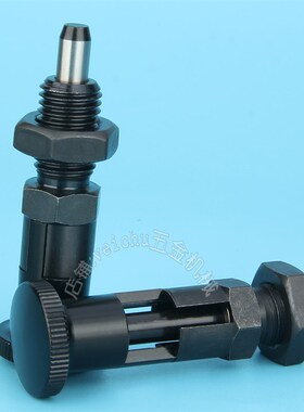 ZAG33/ZAG34/ZAG43/ZAG44 自锁型分度销锥头销旋钮柱塞弹簧拉销