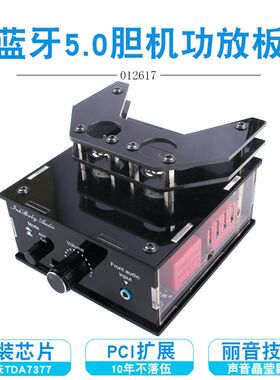 晒邦胆机家用蓝牙发烧级hifi小型电子管前级大功率高品质功放机