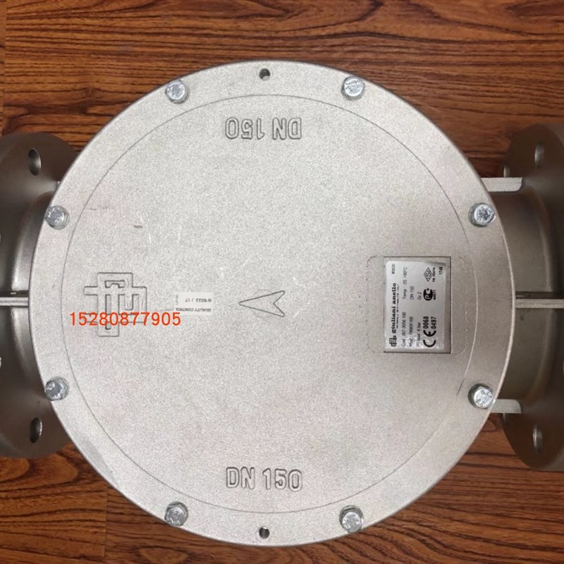 DN150气过滤器  朱利安尼过滤器 燃烧机配件 giuliani anello