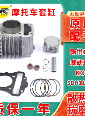 原装新大洲飘悦110KWB110威武SDH110-16/19套缸KO3气缸体中缸