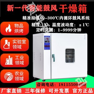电热鼓风恒温干燥箱工业小烘箱药材烘干箱大灯烤箱熔喷布模具烤箱