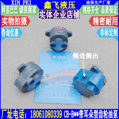 CB-B20-D带耳朵TCBW-CBW-ZCBW-B20齿轮泵 液压泵齿轮油泵