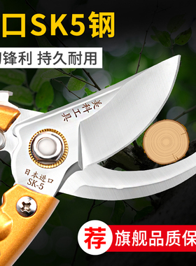 修枝剪园艺剪刀果树剪家用省力修树枝剪子修花工具日本进口园林剪