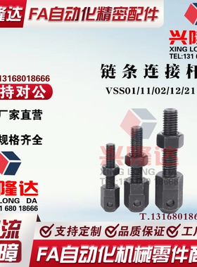 VSS01/11/02/12/21-35 40 50 60 80 16A 链条连接杆 标准张紧杆