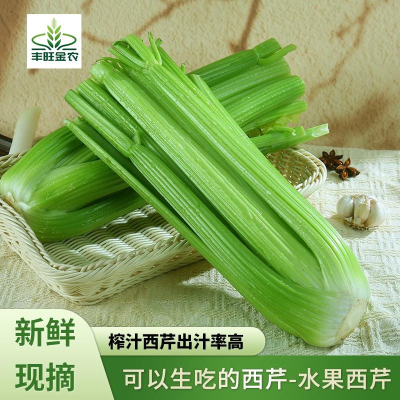 顺丰包邮榨汁西芹寿光新鲜蔬菜榨汁专用水果西芹无叶西芹山芹
