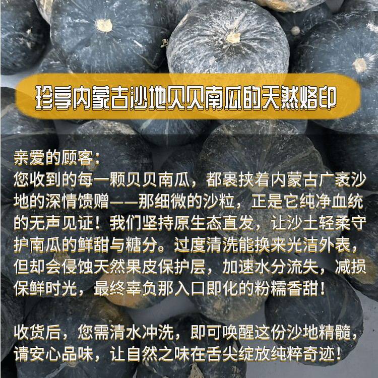 正宗贝贝南瓜粉糯板栗味板栗南瓜新鲜蔬菜当季小南瓜正品代餐
