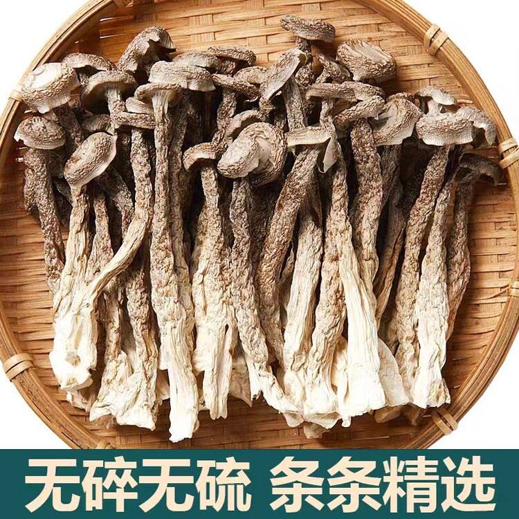 豪媳妇（新鲜鹿茸菇50g*10袋）（试吃2包）脆菇好吃营养其他脱水
