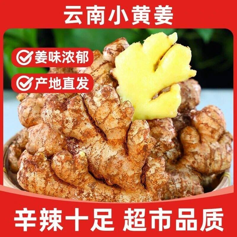 云南小黄姜老姜正宗生姜新鲜现挖特级香味浓郁辛辣现发现摘精品