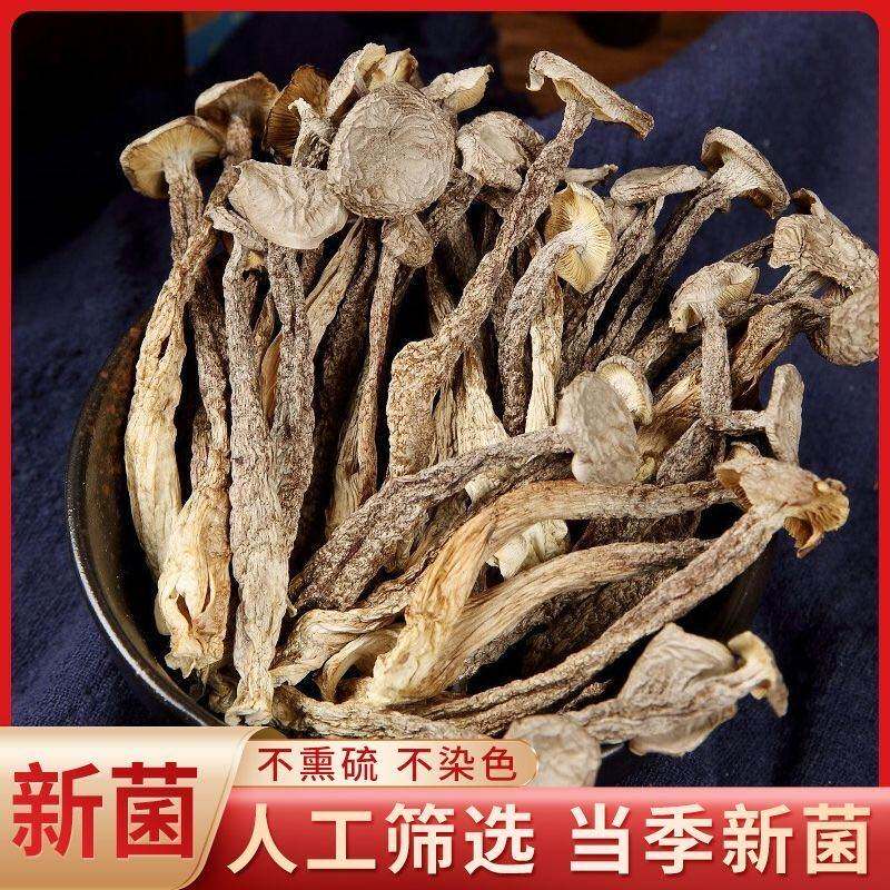 【可试吃一包】到手50g*5袋鹿茸菇新货农家特产鹿茸煲汤脱水蔬菜