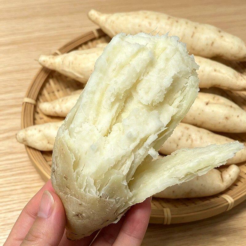 新鲜牛奶人参薯粉糯香甜白皮白心地瓜轻食营养早餐番薯红薯正宗
