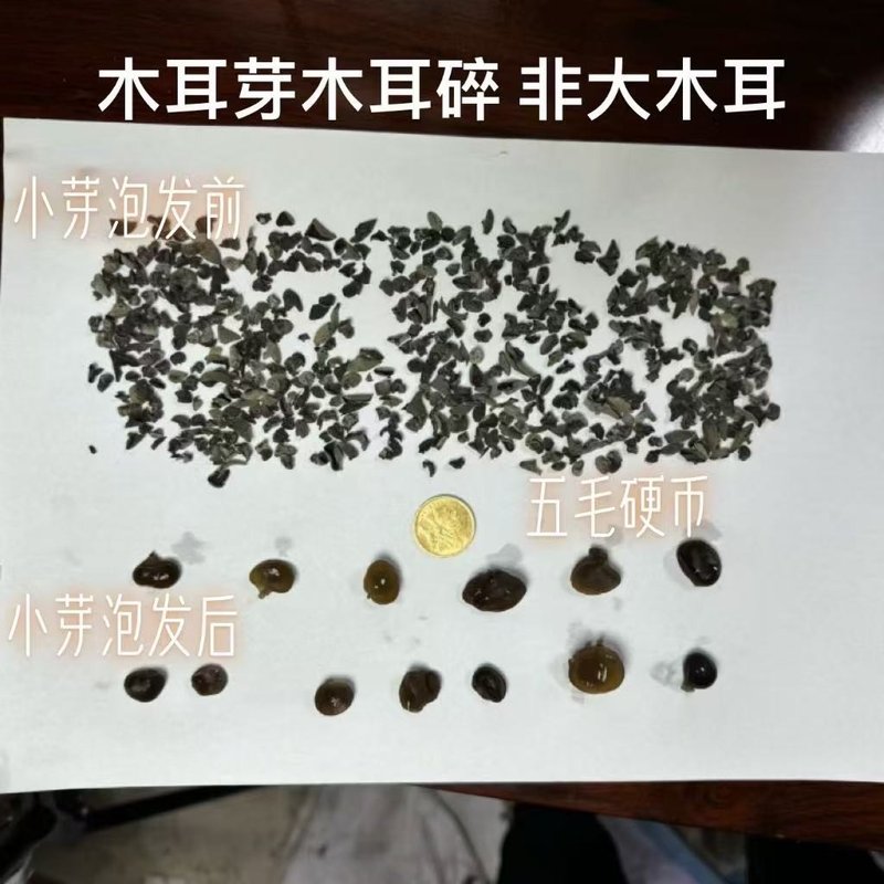 正宗东北黑木耳芽500G木耳芽胡辣汤泡发木耳东北木耳包子饺子馅