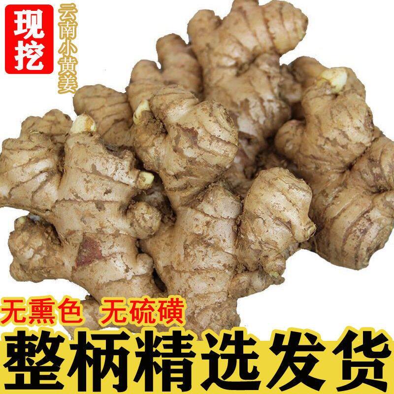 甜果篮云南小黄姜生姜老姜月子姜正宗老姜无硫磺无加工好姜