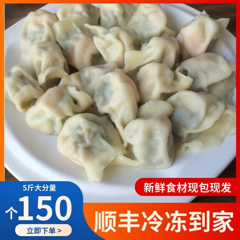 【拍一到手5斤】现包水饺猪肉牛肉大葱韭菜鸡蛋茴香早餐半成品冷