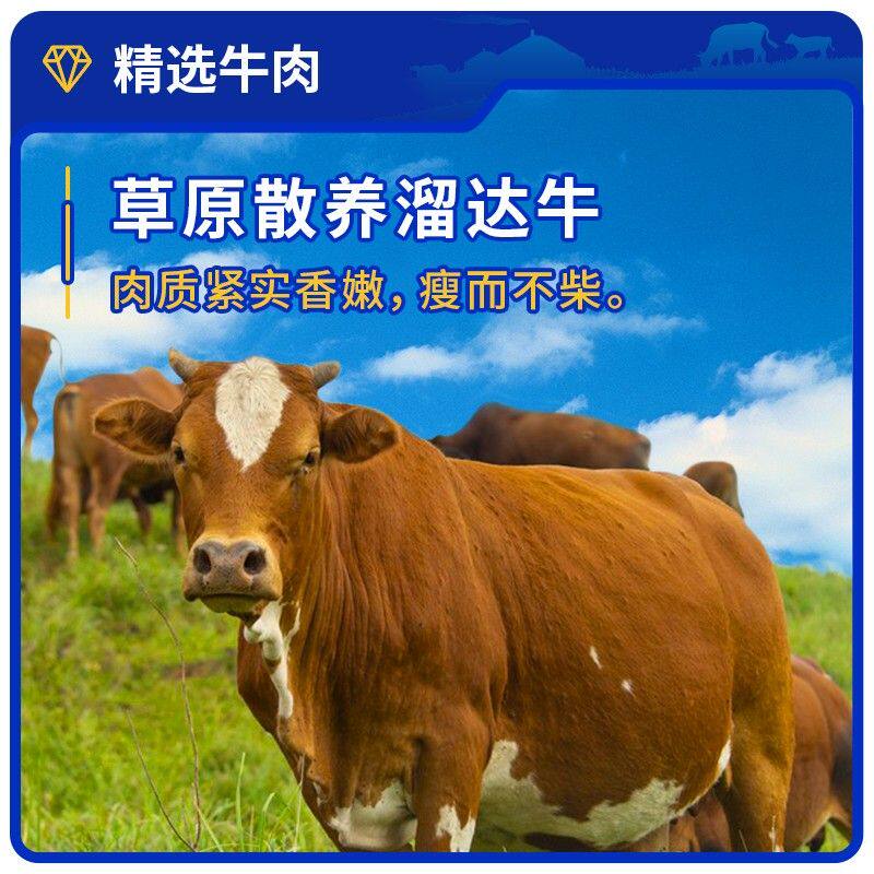 草原姑娘风干牛肉干100g/袋 原味 根根原香 独立包装