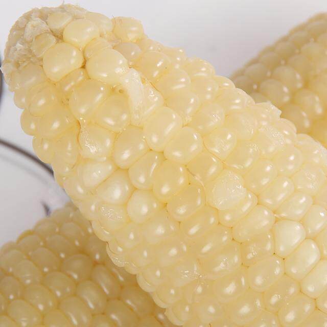 【2026】白糯玉米清甜香糯嫩甜粘软饱腹代餐健康美味 绿色食品 有