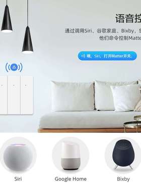 Matter over Wifi零火智能86开关Homekit/Google直连语音控制