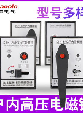 户内高压电磁锁DSN-BMZ DSN-BMY 1Y/1Z开关柜门DMY DMZ左开右开