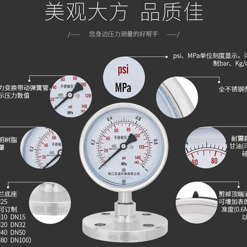 不锈钢耐震隔膜压力表YTP100BF 法兰连接DN25 316L