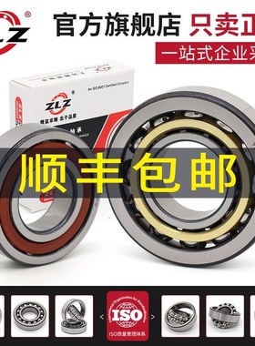 机床主轴轴承7300 7301 7302 7303 7304 7305 7306 7307 7308 AC