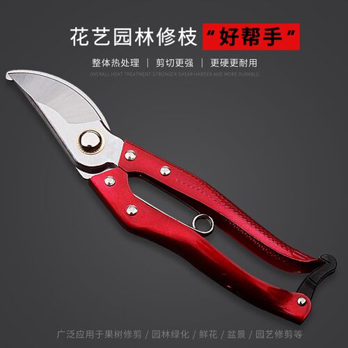 剪枝剪刀果树德国家用修枝花剪修树枝粗枝剪强力园林园艺剪刀